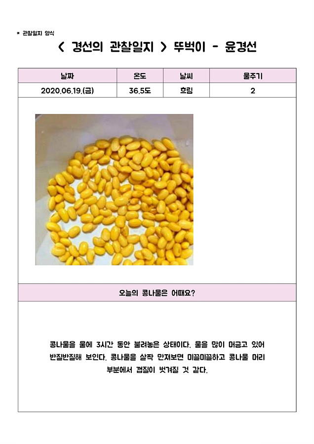 [비대면 활동 프로그램] 그린 메이트(Green Mate)